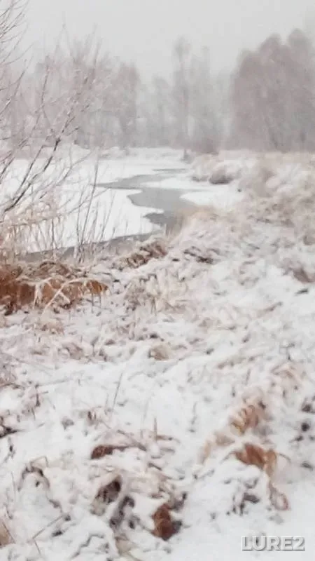 Окунь, Щука — 1 канал (р.Кама), 19 нояб. 2018 г.