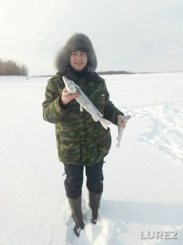 Щука — 1 канал (р.Кама), 27 янв. 2019 г.