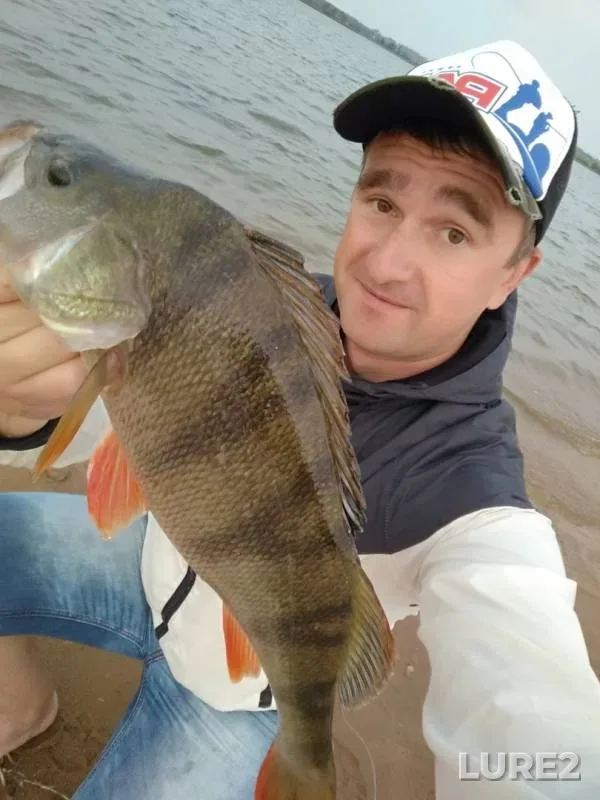 Окунь — Петровичское, 08 сент. 2019 г.