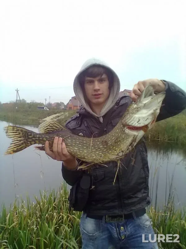 Щука — Київська область, 21 окт. 2012 г.