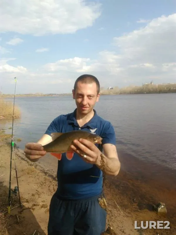 Лещ, Язь — Волга, 01 мая 2017 г.