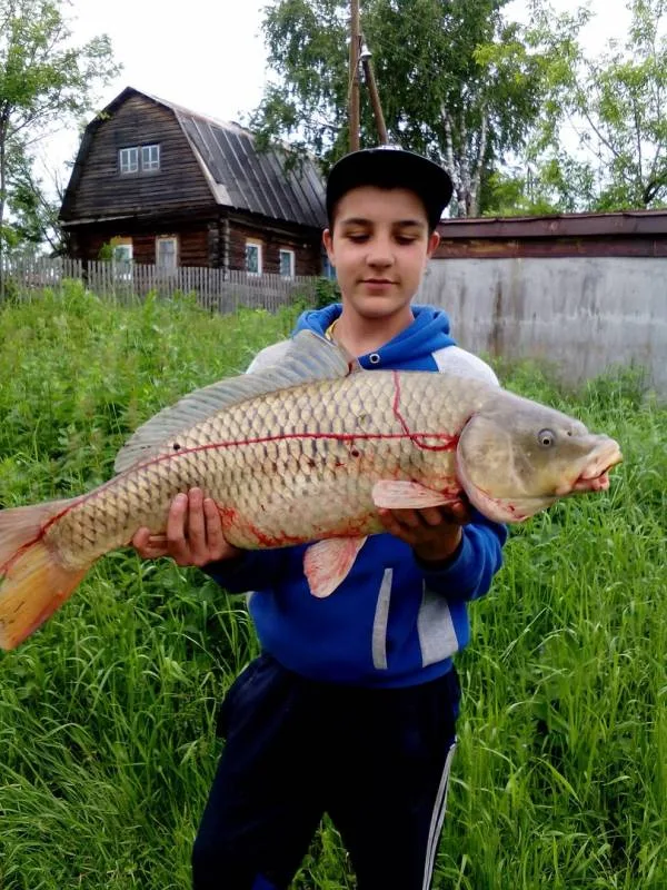 Карп