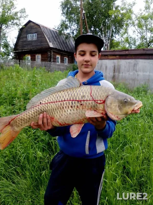 Карп — Чусовая, 14 окт. 2018 г.