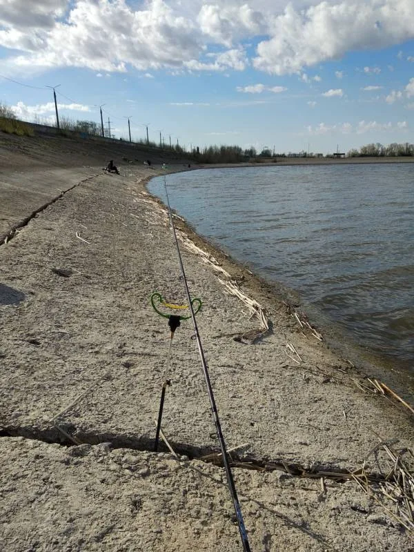 Уклейка, Густера