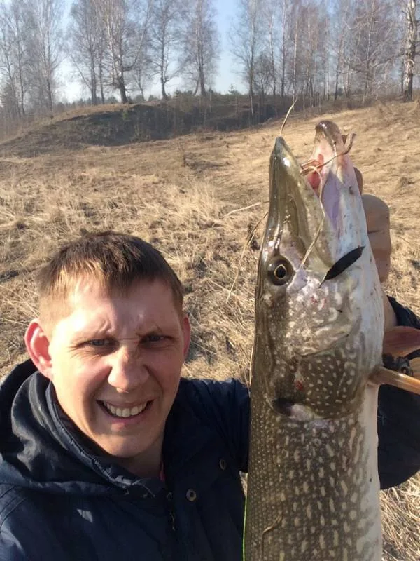 Щука