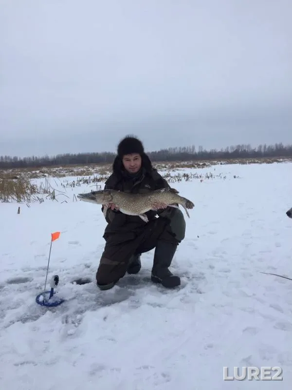Щука — Белая, 04 дек. 2018 г.