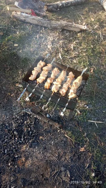 Лещ, Карась