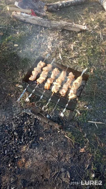 Лещ, Карась — Орловская область, 21 окт. 2019 г.