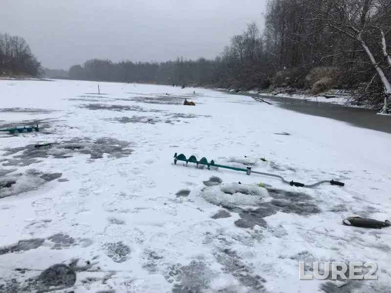 Язь, Окунь