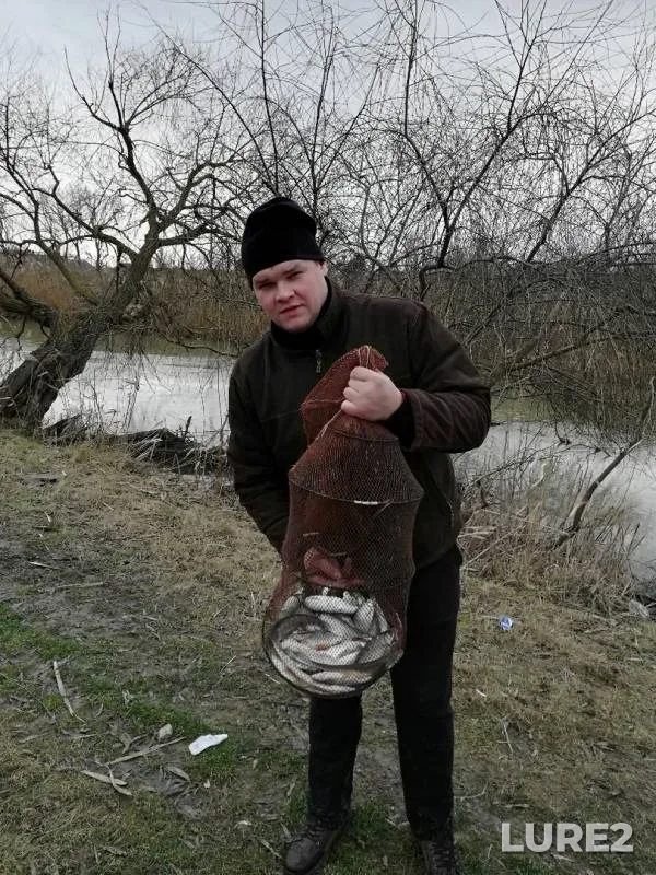 Плотва — Краснодарский край, Темрюкский район, 21 янв. 2019 г.