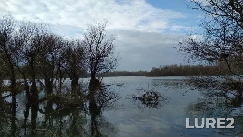 Щука — Республика Адыгея, Красногвардейский район, 01 февр. 2019 г.