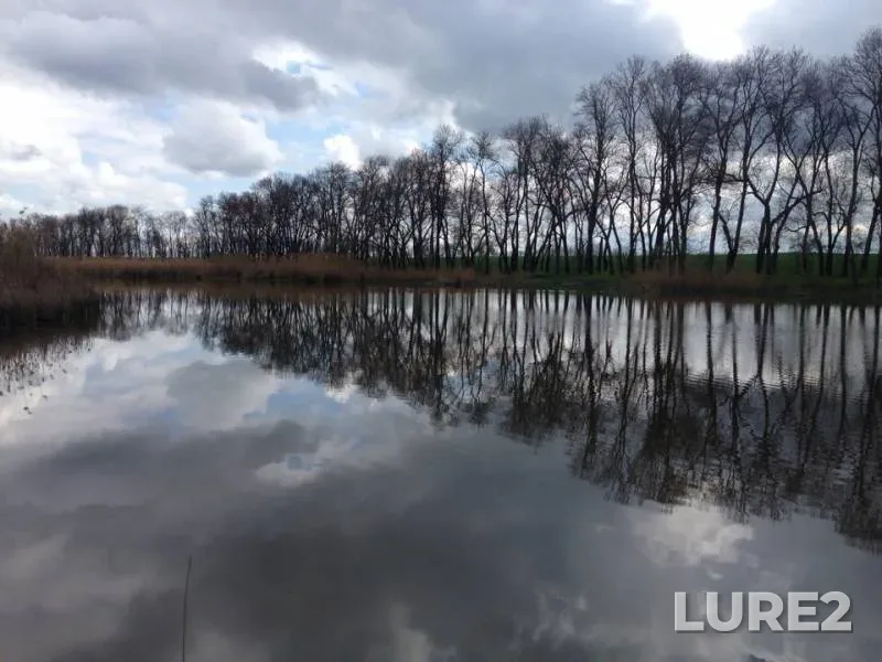 Карп, Карась — Краснодарский край, Динской район, 17 апр. 2019 г.