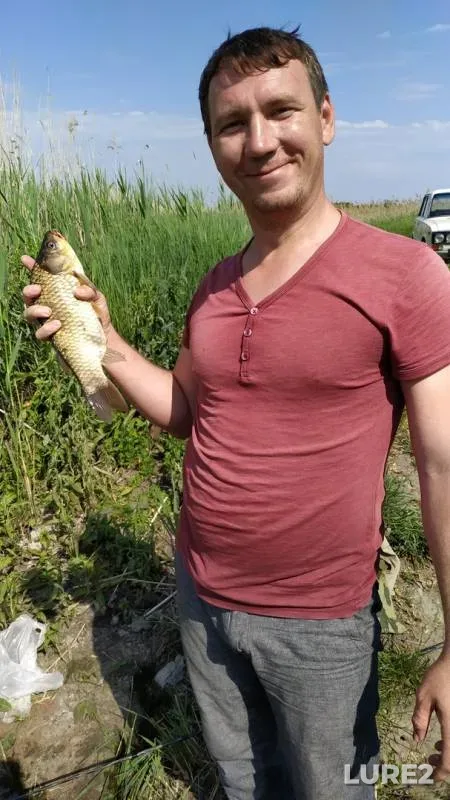 Лещ, Карась — Понура, 27 мая 2019 г.