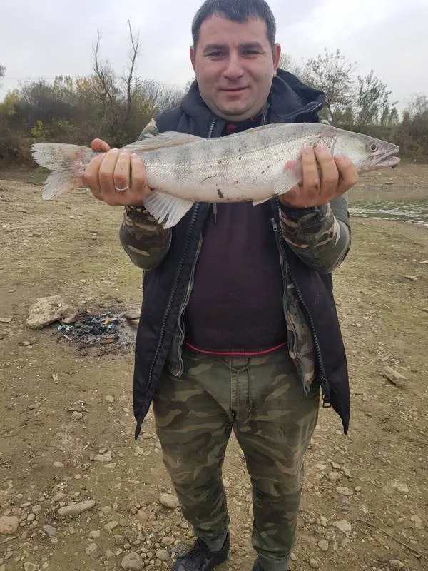 Судак