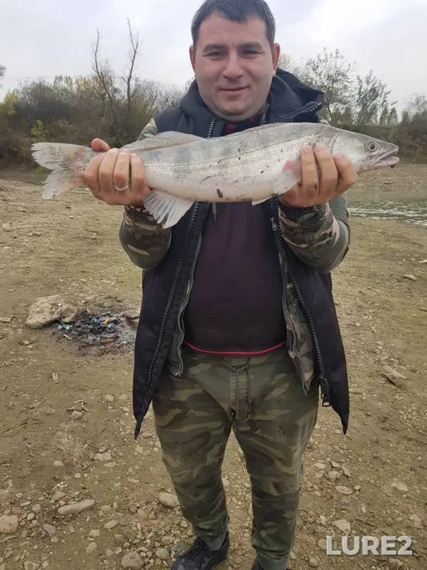 Судак — Кубань, 01 нояб. 2019 г.
