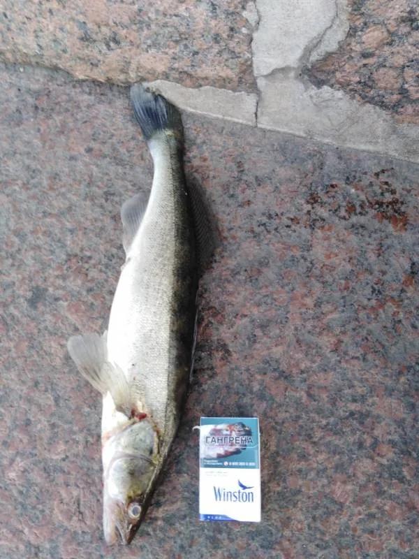 Судак