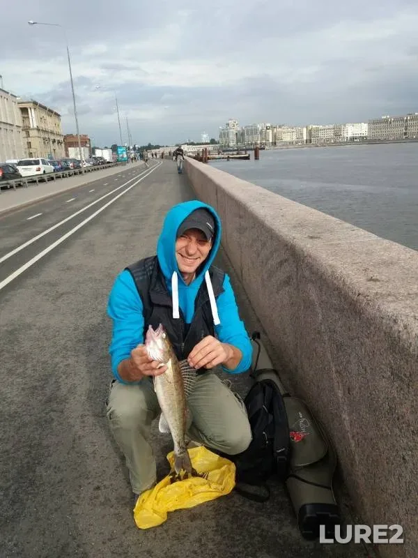 Судак — Нева, 02 авг. 2019 г.