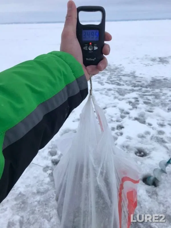 Плотва — Горьковское, 18 дек. 2018 г.
