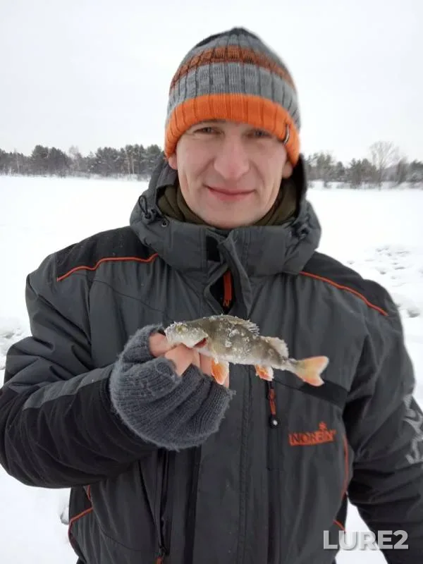 Окунь