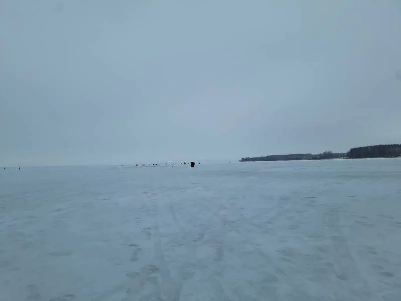 Плотва