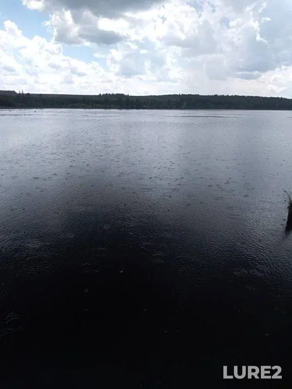 Щука — Белогорка, 24 июн. 2019 г.