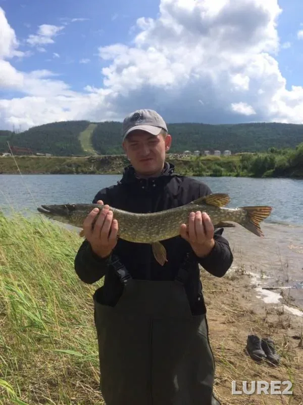 Щука — Красноярский край, 07 июл. 2019 г.