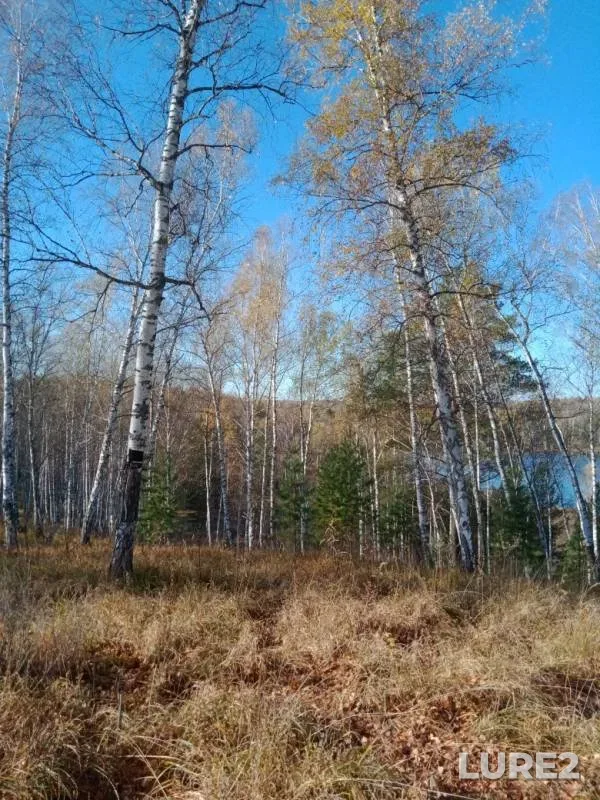 Щука — Есауловка, 02 окт. 2019 г.