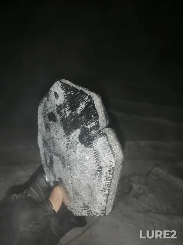 Окунь, Щука