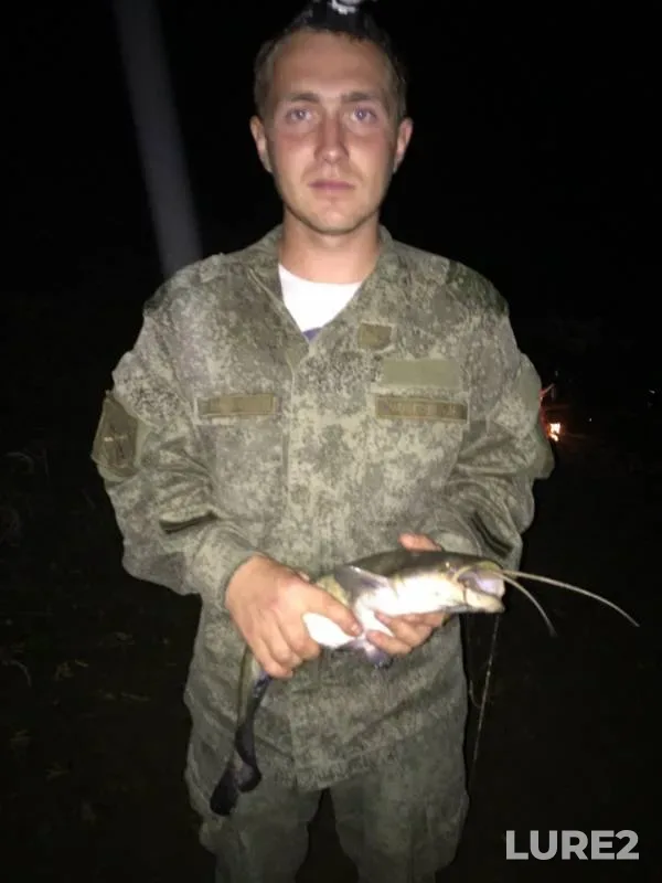 Сом