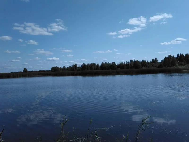 Карась