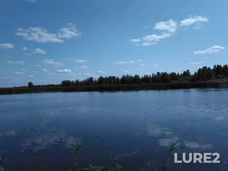 Карась — Рыбхоз, 18 авг. 2018 г.