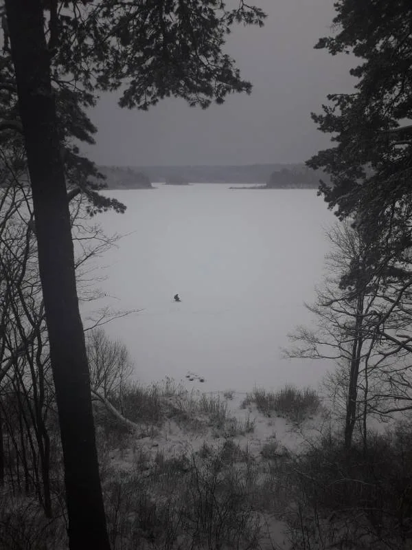 Лещ