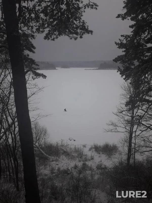 Лещ