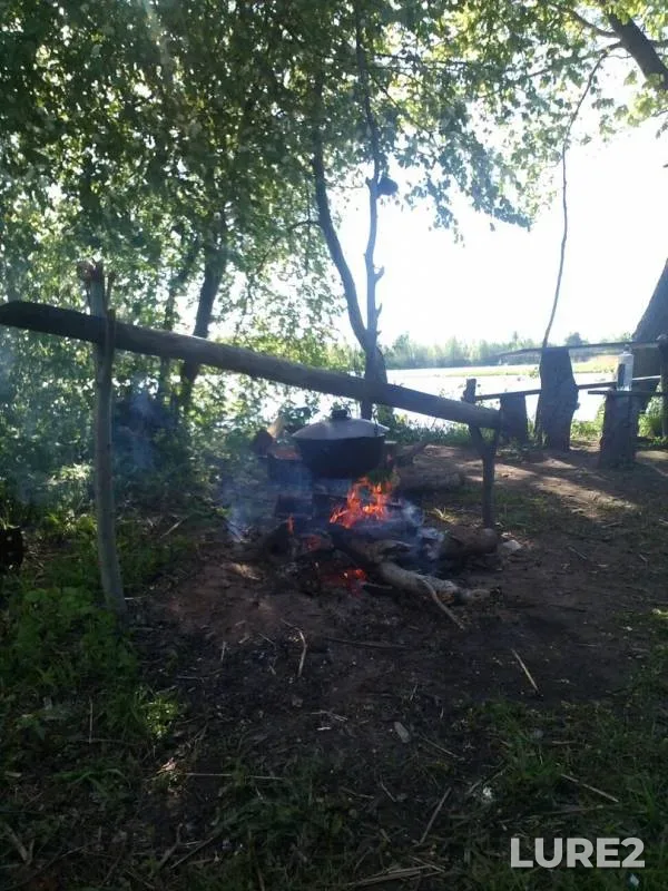 Лещ — Луга, 24 июн. 2017 г.