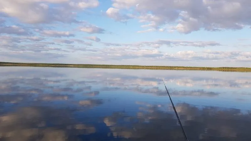 Окунь