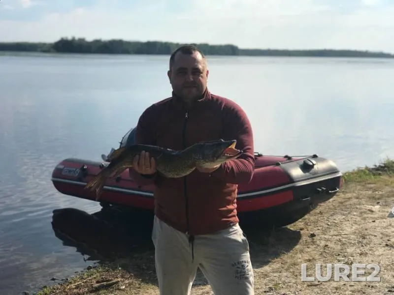 Щука — Сеуль, 28 июл. 2018 г.