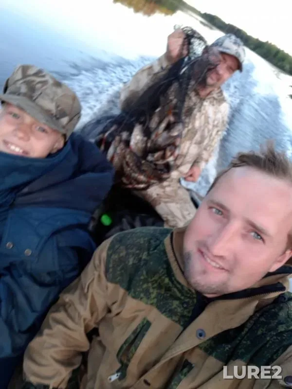 Окунь — Ханты-Мансийский автономный округ — Югра, 31 июл. 2018 г.