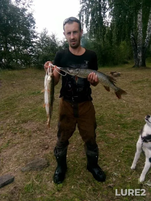 Окунь, Щука — Аргазинское, 05 авг. 2019 г.