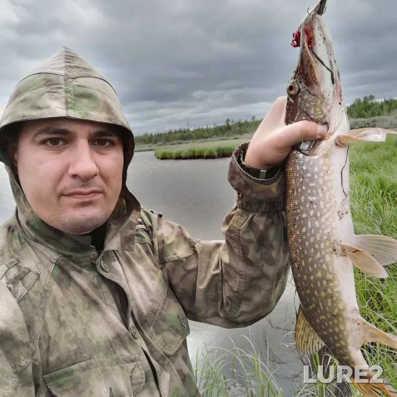 Щука — Кислор, 27 июл. 2019 г.