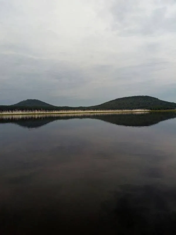 Окунь, Щука