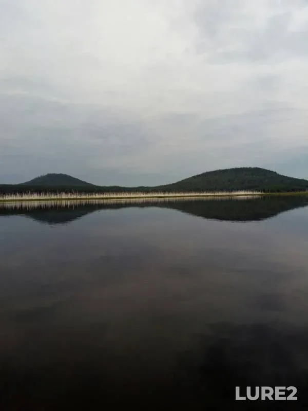 Окунь, Щука — Уфа, 21 июл. 2019 г.