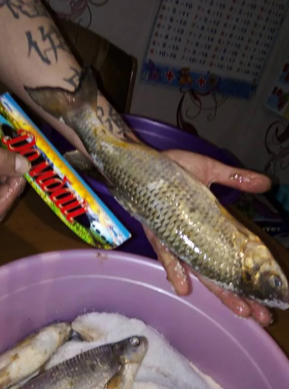 Лещ, Язь