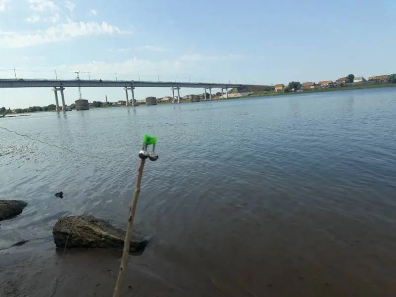 Карп