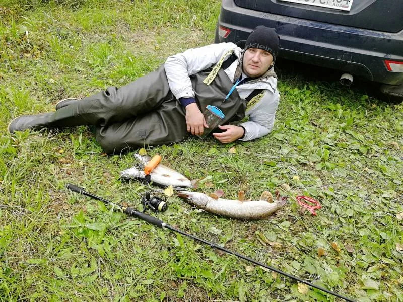 Щука