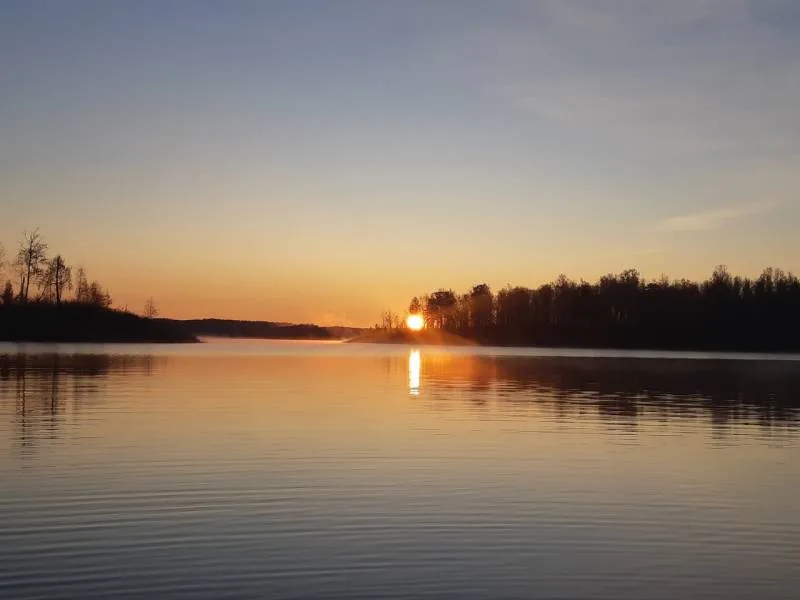 Окунь, Щука