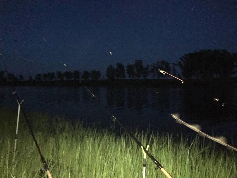 Лещ, Карась