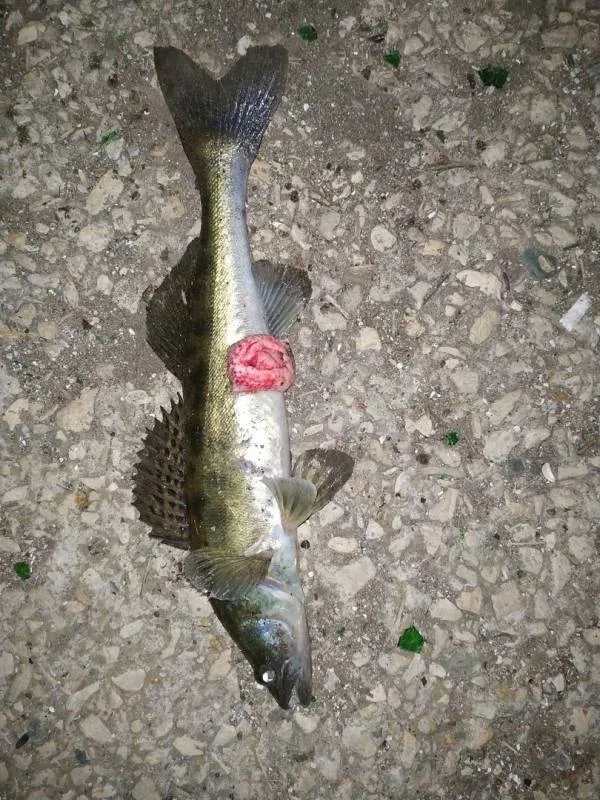 Судак