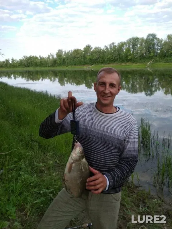 Лещ — Большой Иргиз, 24 июн. 2019 г.