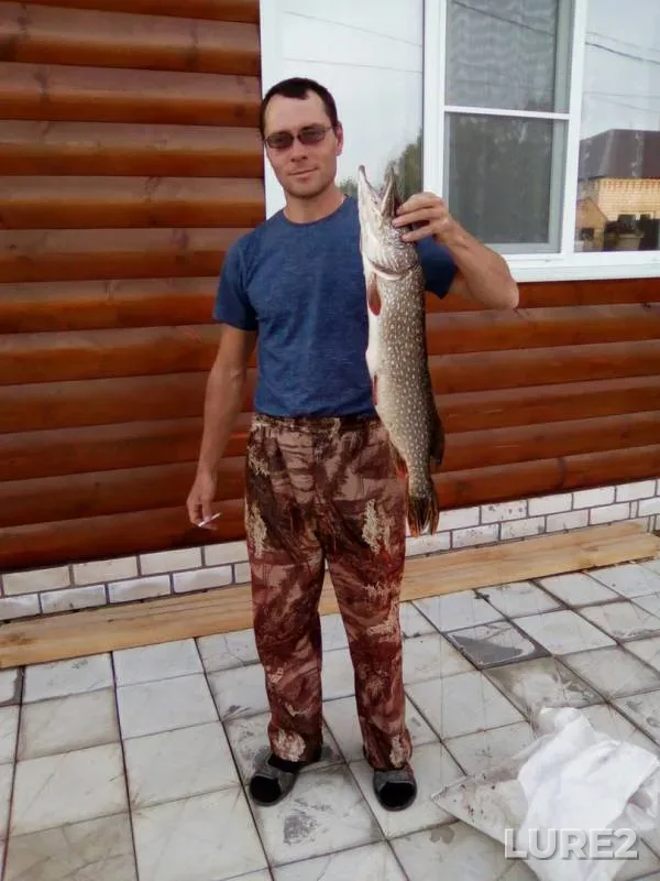 Щука