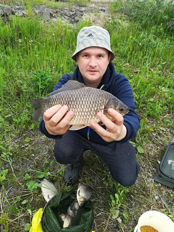 Карась
